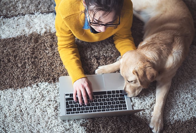 Was ein Sniffer ist und wie man sich vor Sniffing schützt